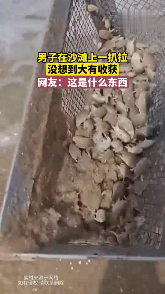 这啥玩意一扒拉这么一大堆