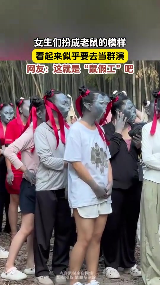 这就是一群“鼠假工”吧