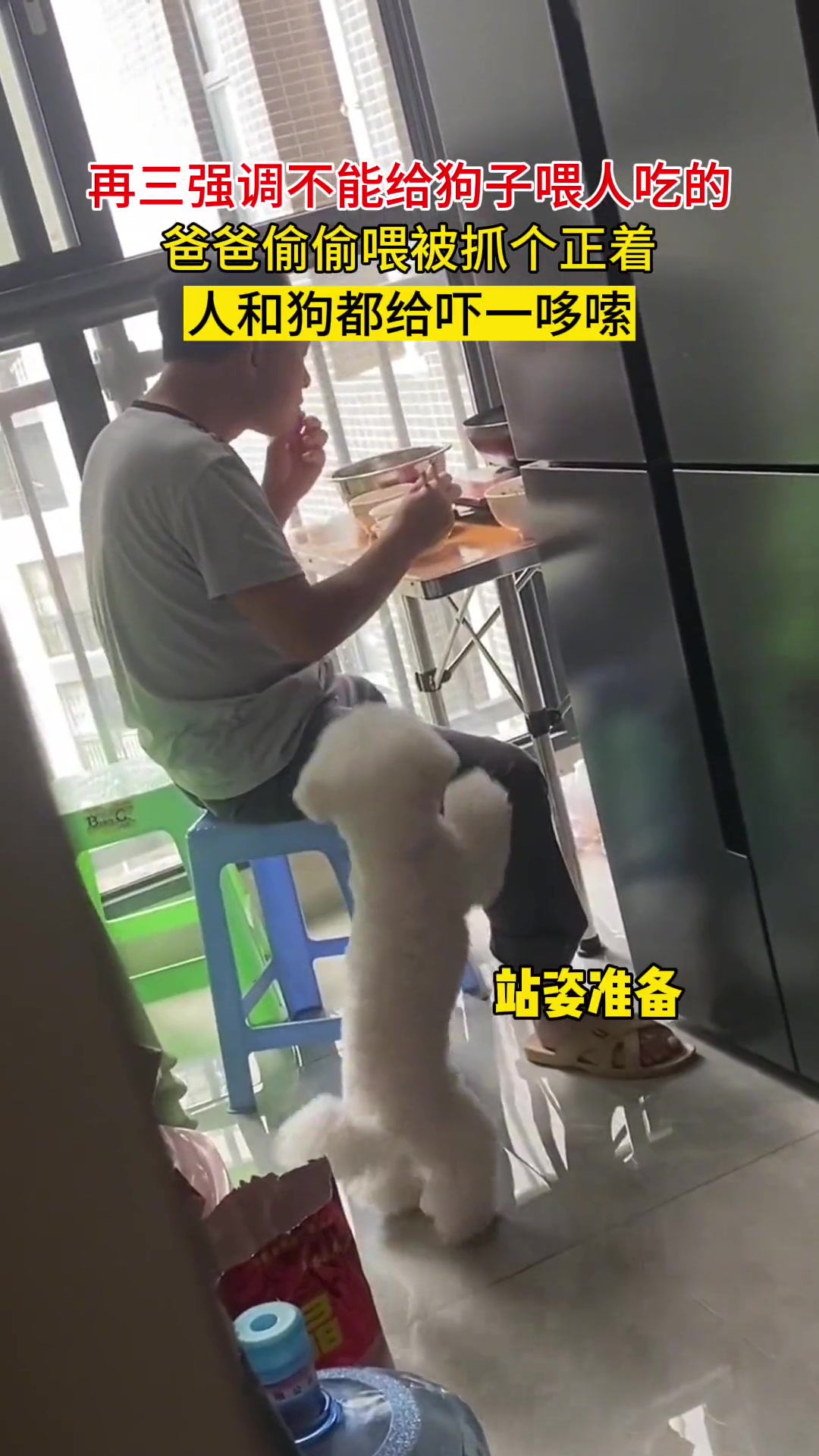 再三强调不能给狗子喂人吃的,爸爸偷喂被抓个正着