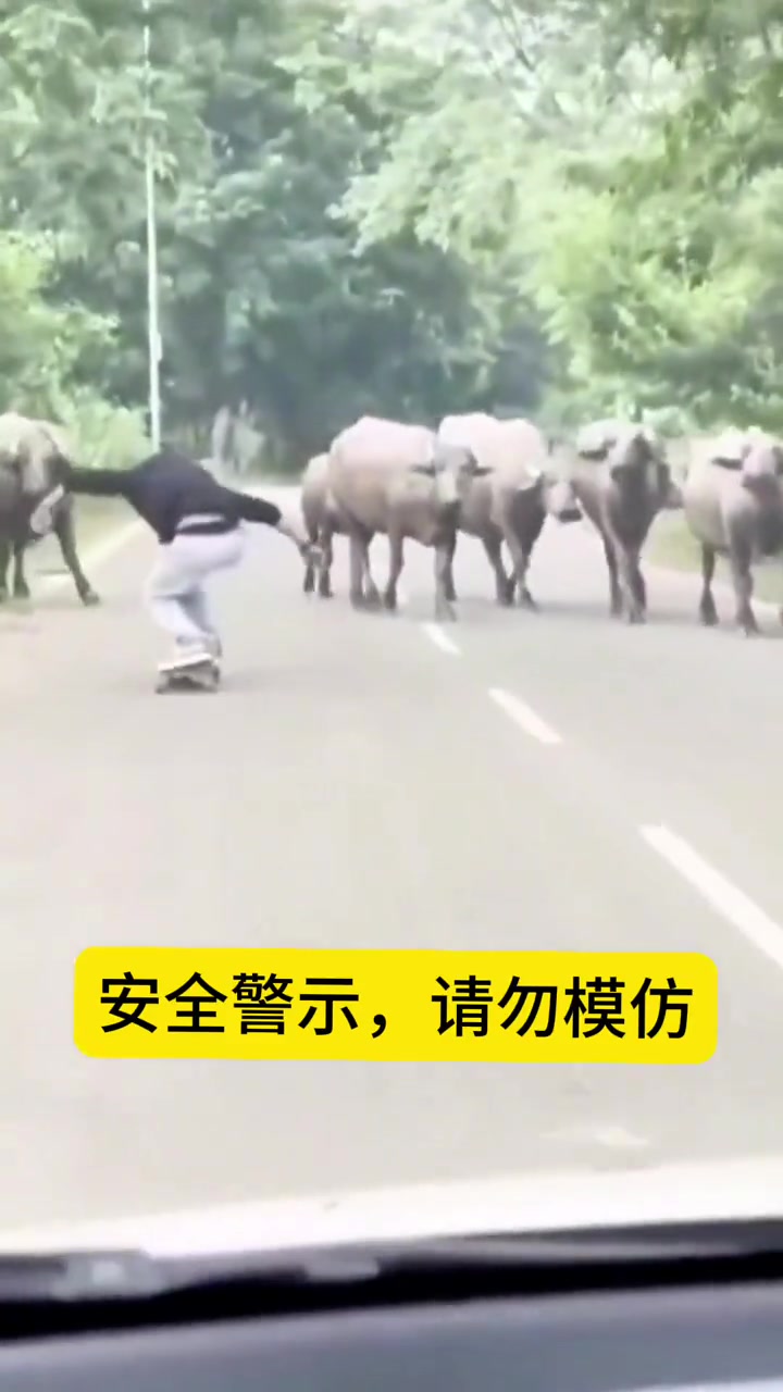 嚣张男子马路中间玩滑板,牛牛看不惯直接顶翻!