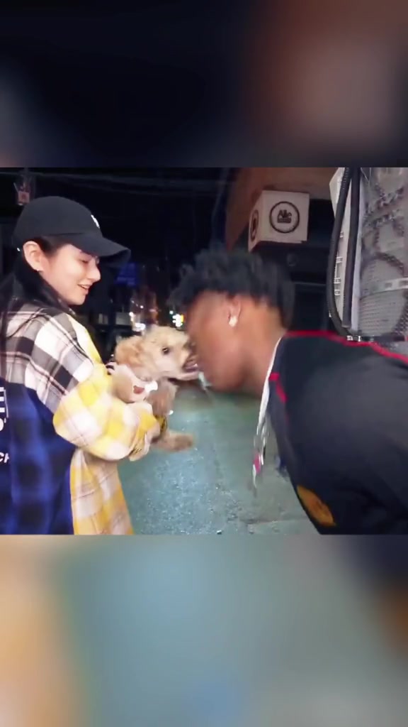 黑人小哥挑衅小狗直接被撕咬鼻子!