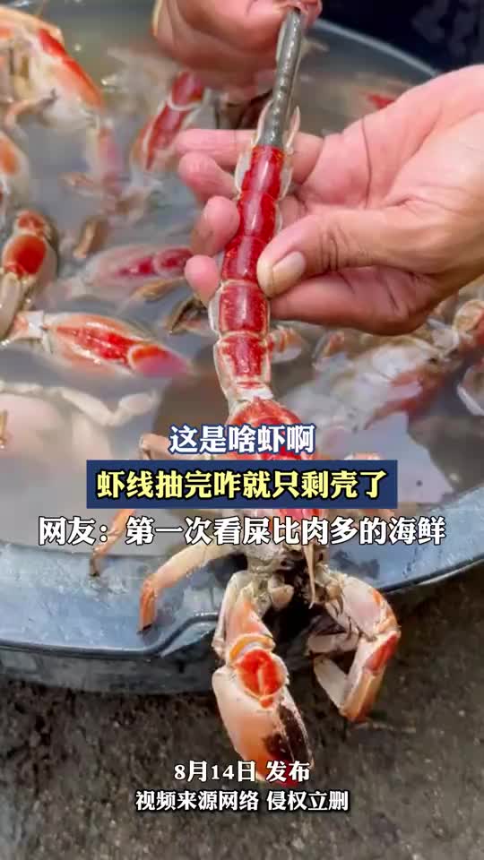 第一次看肉这么少的海鲜,虾线抽完咋就只剩壳了
