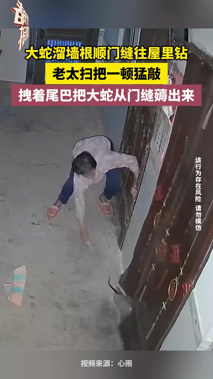 大蛇溜墙根顺门缝往屋里钻,老太扫把一顿猛敲!