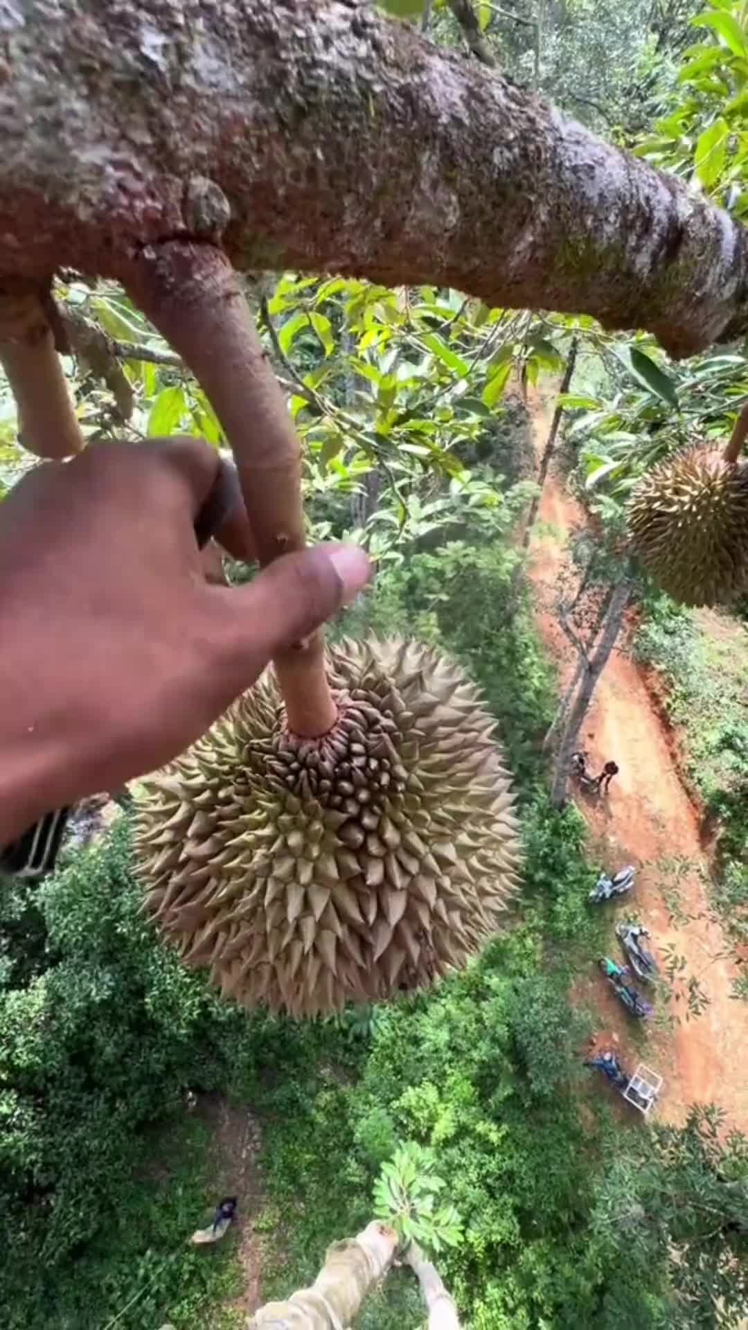 这要是没接到,就可以直接开席了!