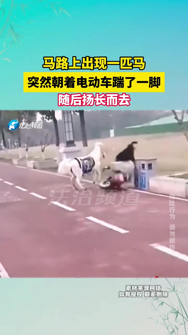 马路上出现一匹马,突然朝着电动车踹了一脚,随后扬长而去