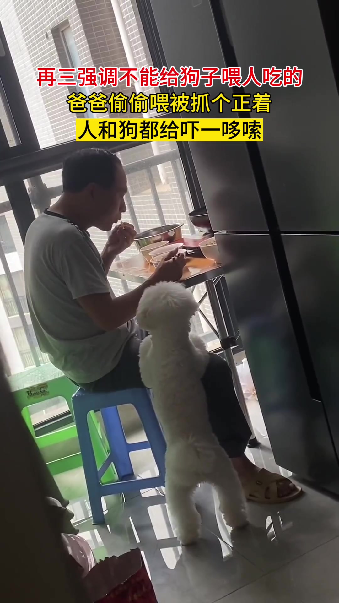 狗子:你在狗叫什么马上就能吃到啦!