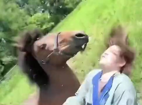 我怎么觉得这马是故意的