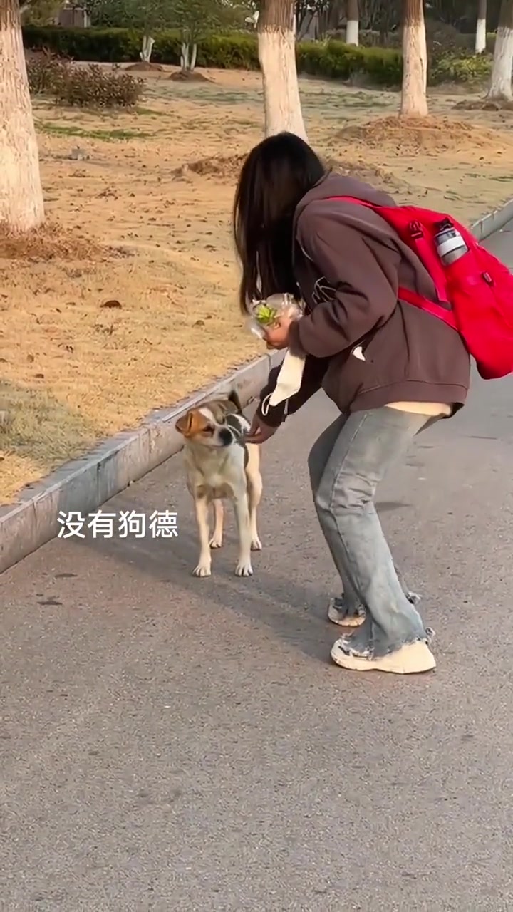 你这东西狗都不吃啊