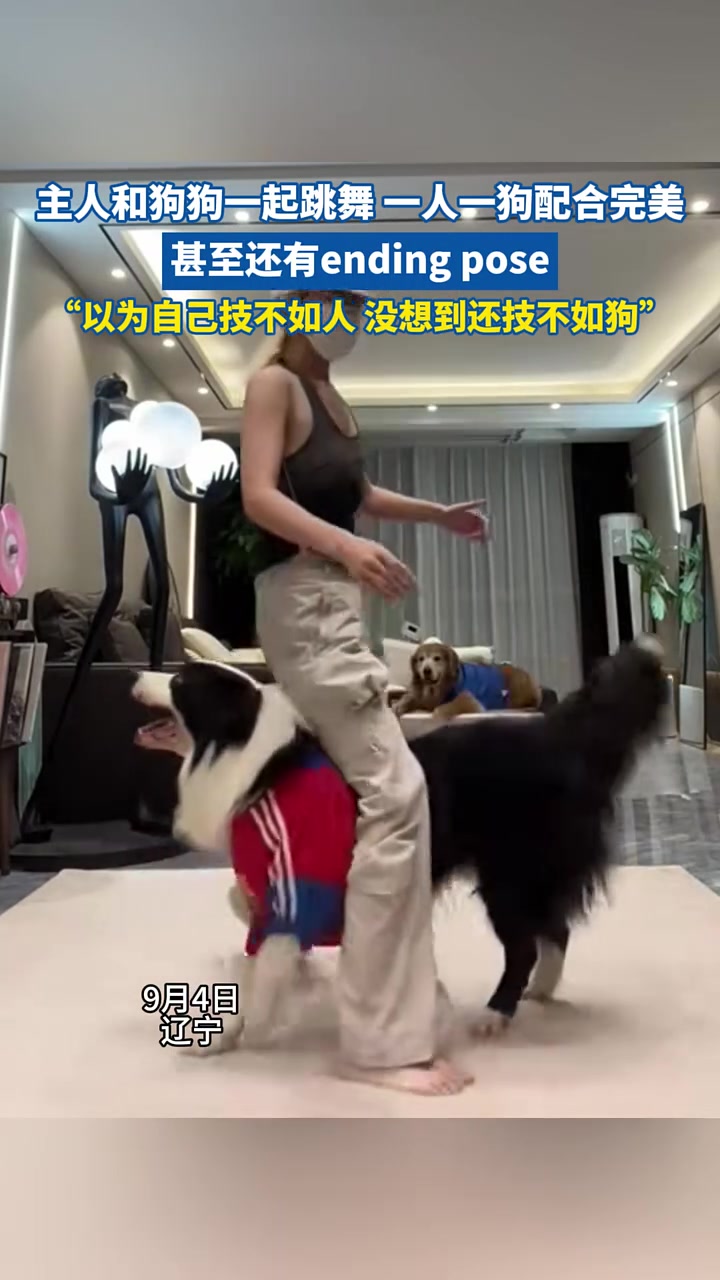 女子和狗狗一起跳舞,一人一狗配合完美!技不如狗啊