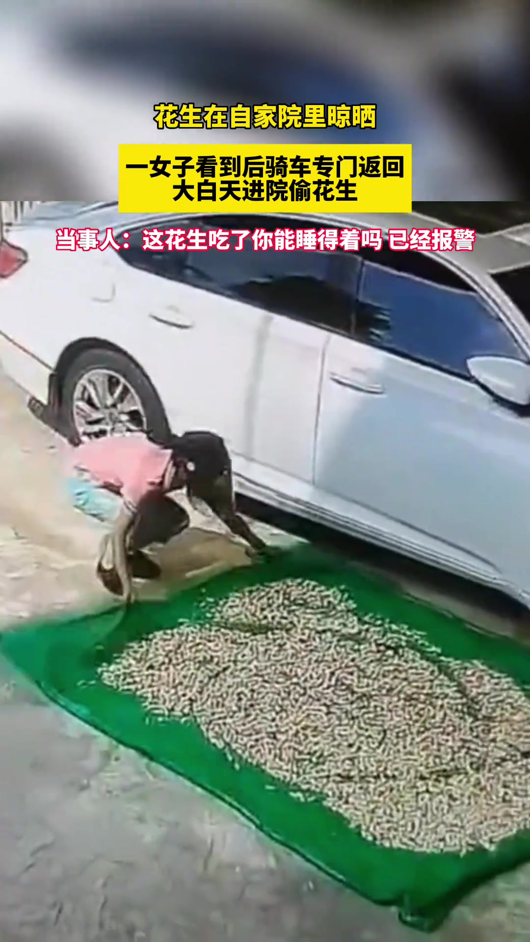 花生在自家院里晾晒一女子看到后骑车专门返回进院子偷花生