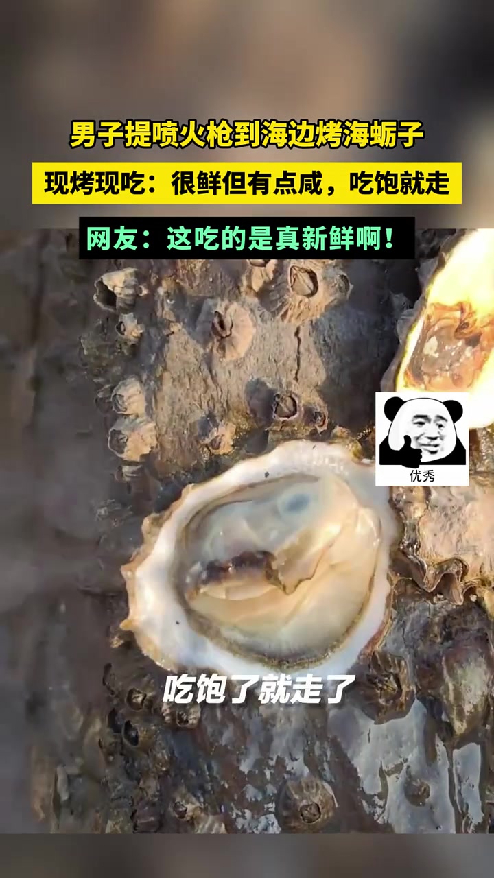 男子赶海带喷枪吃海蛎子自助,主打一个新鲜!