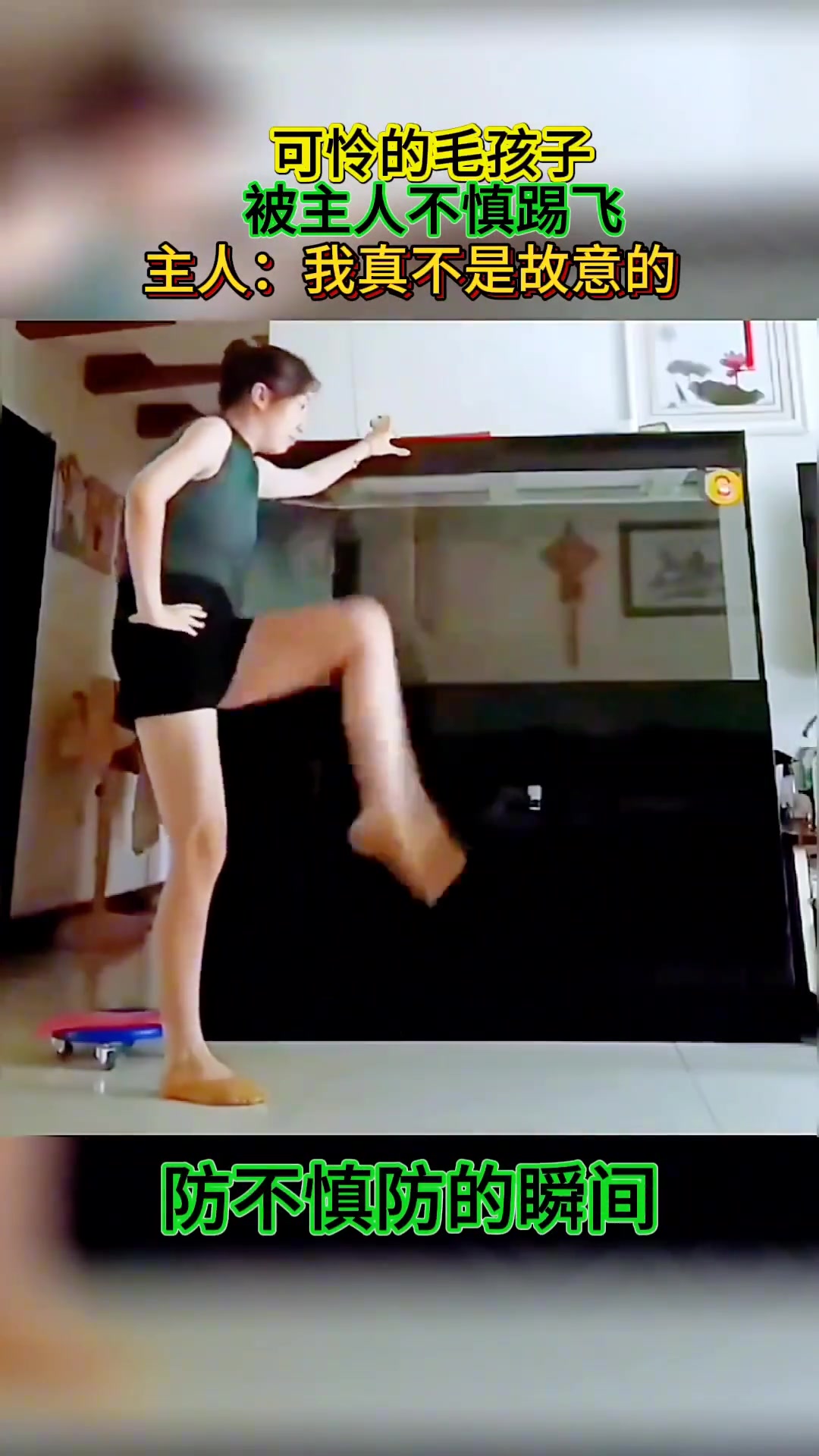 猫咪!猫猫我啊脑瓜子嗡嗡的