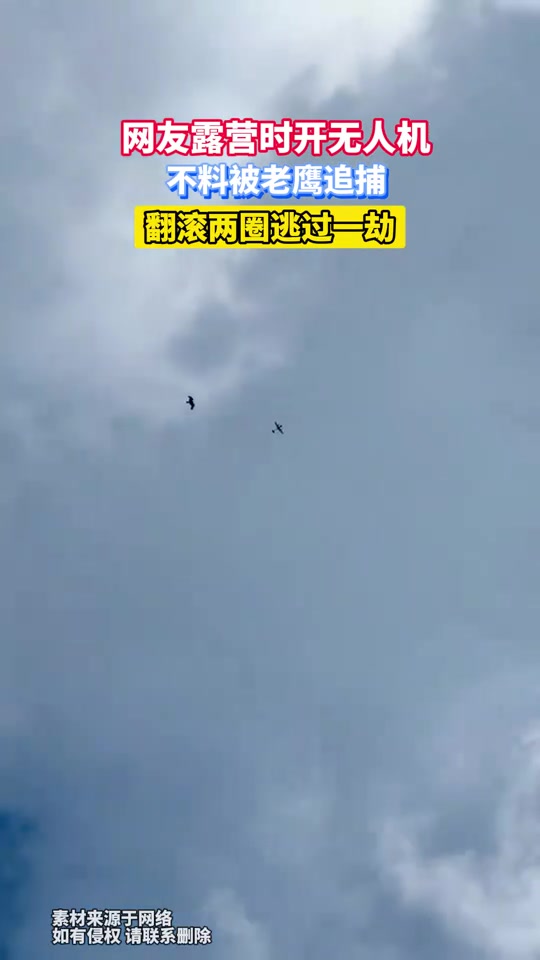 网友露营时开无人机,不料被老鹰追捕,翻滚两圈逃过一劫