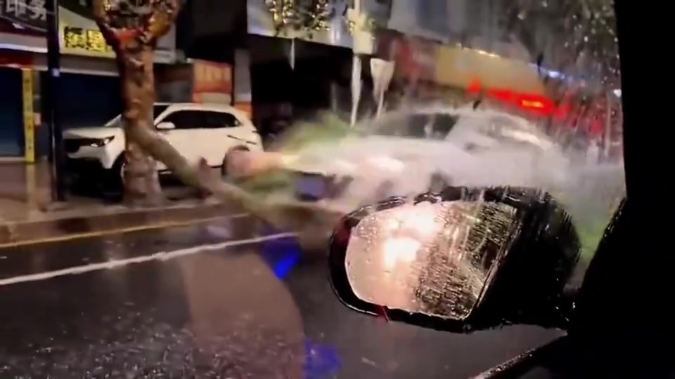 不是,哥们,横着一颗树看不到吗