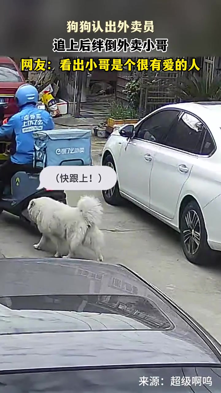 小哥情绪很稳定啊