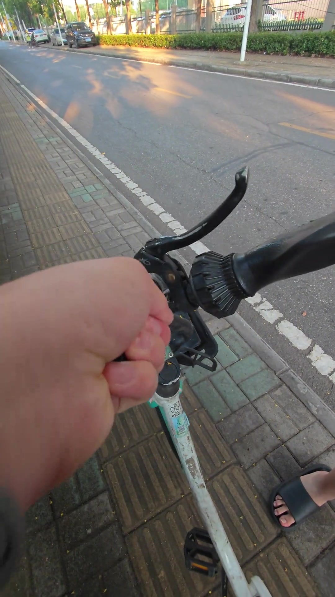 哟,哈雷单车
