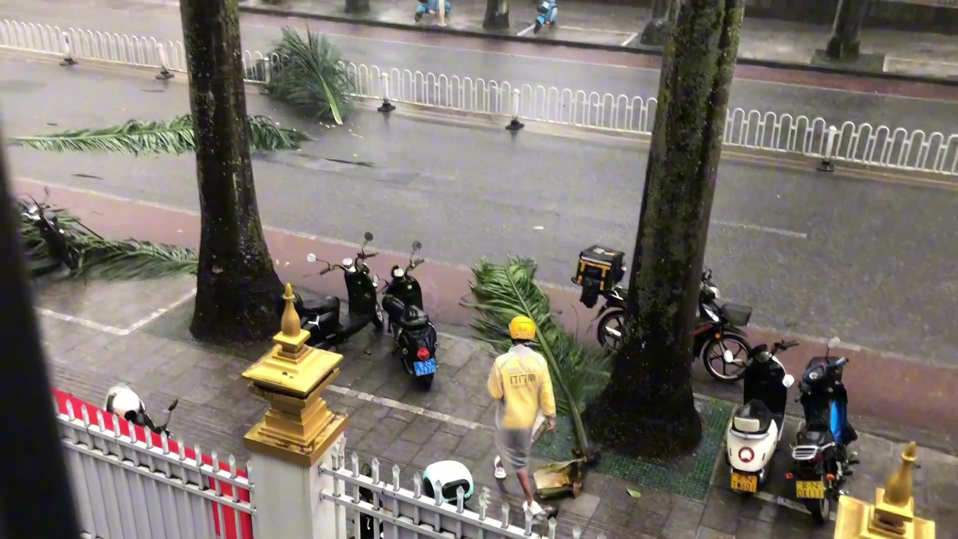 只有你停下摩托车把拦在道路中间的树枝拉开