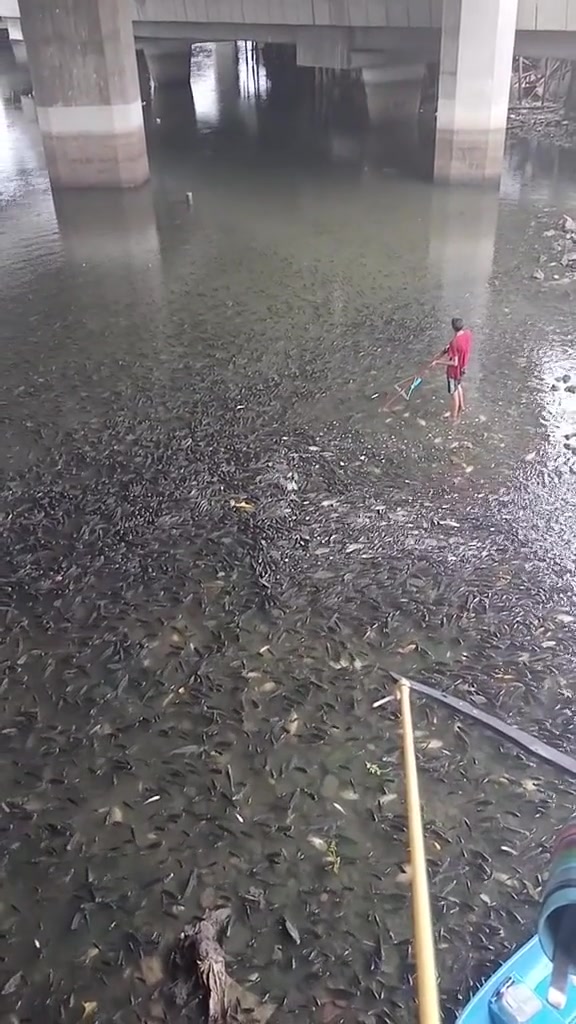 新手出道即巅峰