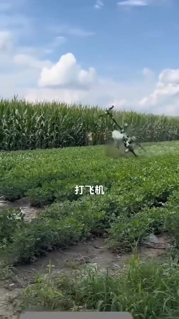 刷亩数,一看就是头脑不够用
