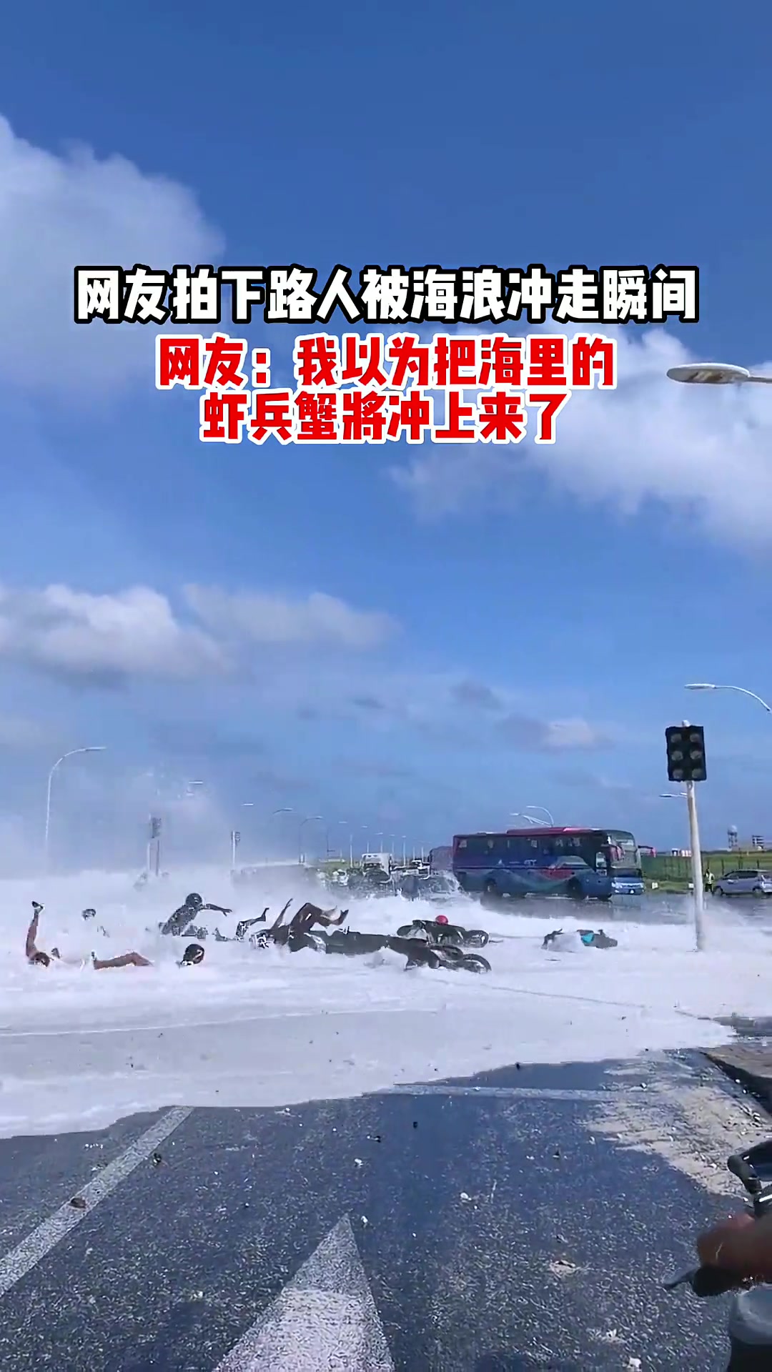 这是海里的“虾兵蟹将“冲上来了吗