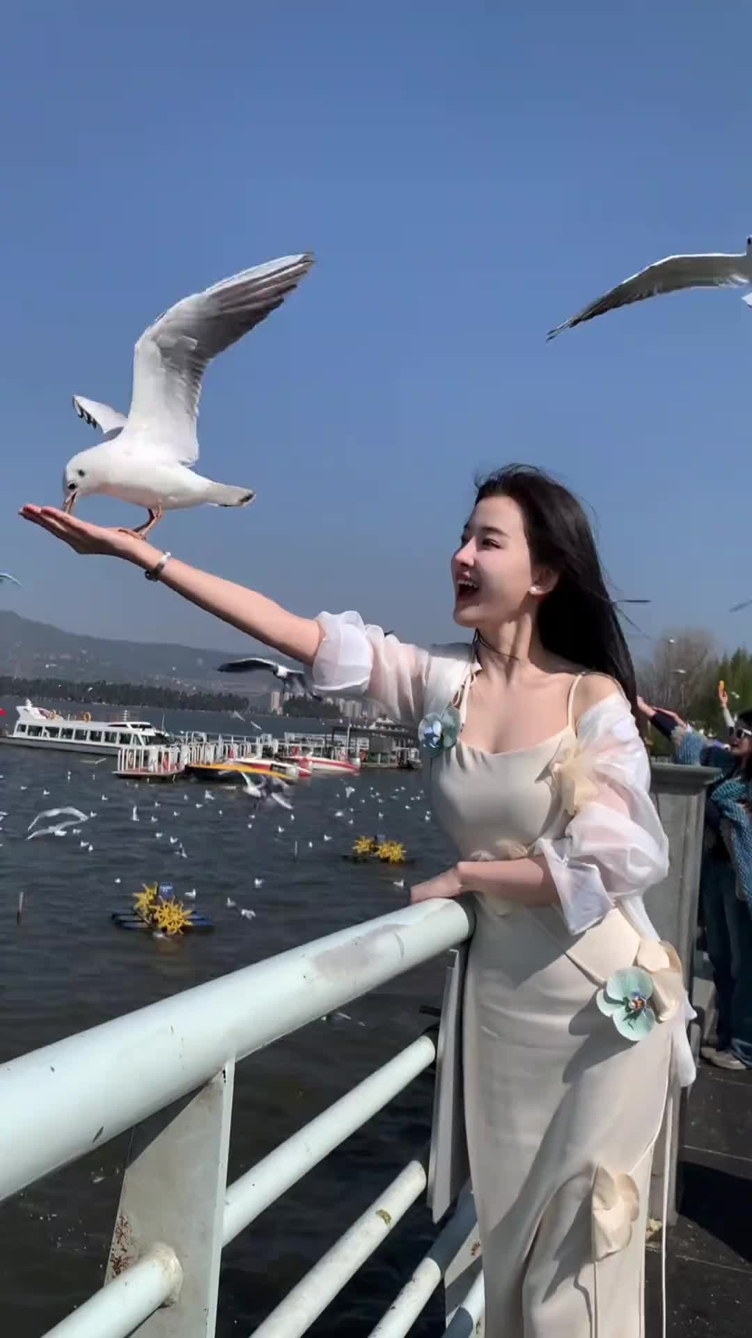 小姐姐不是用嘴巴给鸽子投喂,我不是很认可!