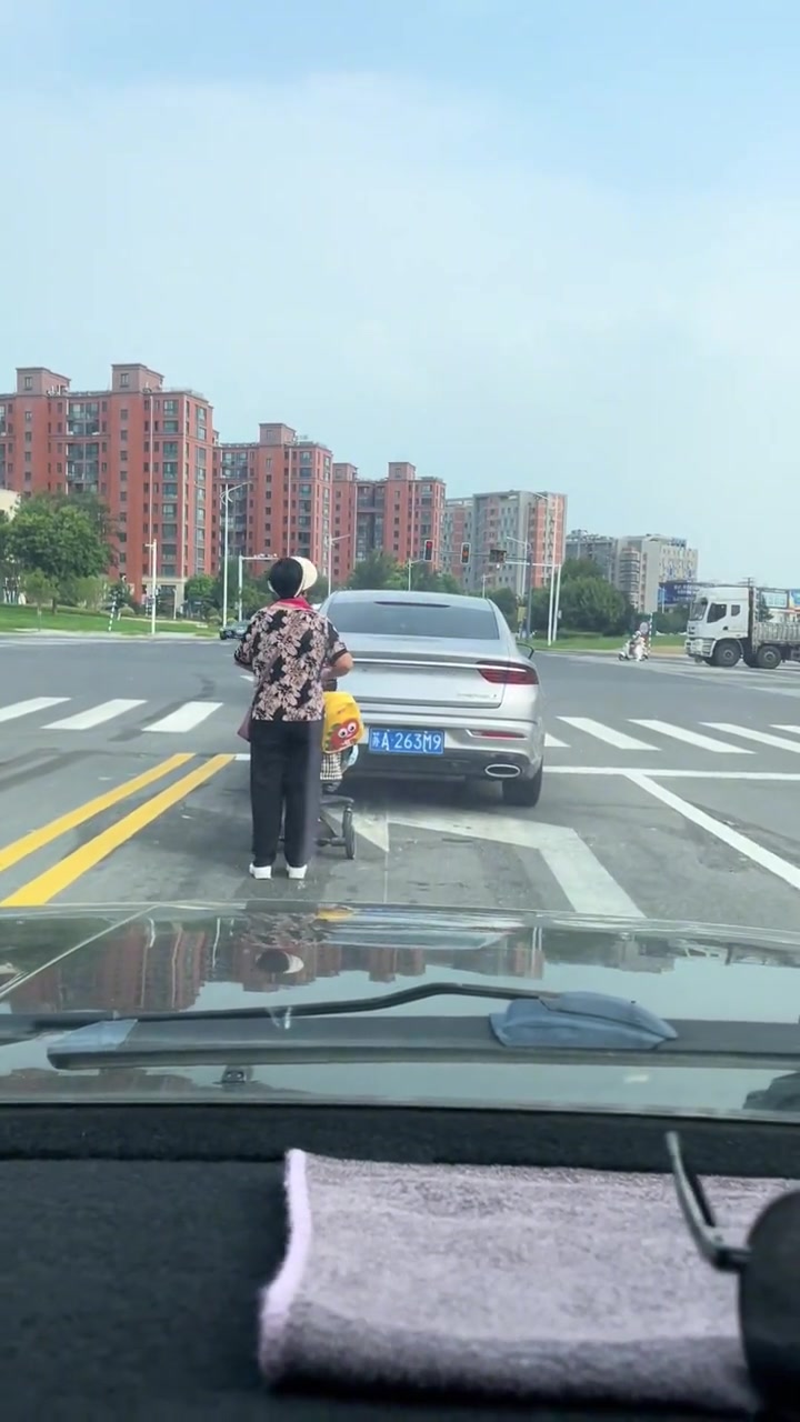 傻眼了!这是把婴儿车当机动车使了