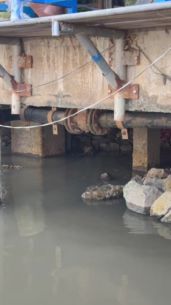 第一眼鳄鱼第二眼蜥蜴!这么大,看着真可怕!