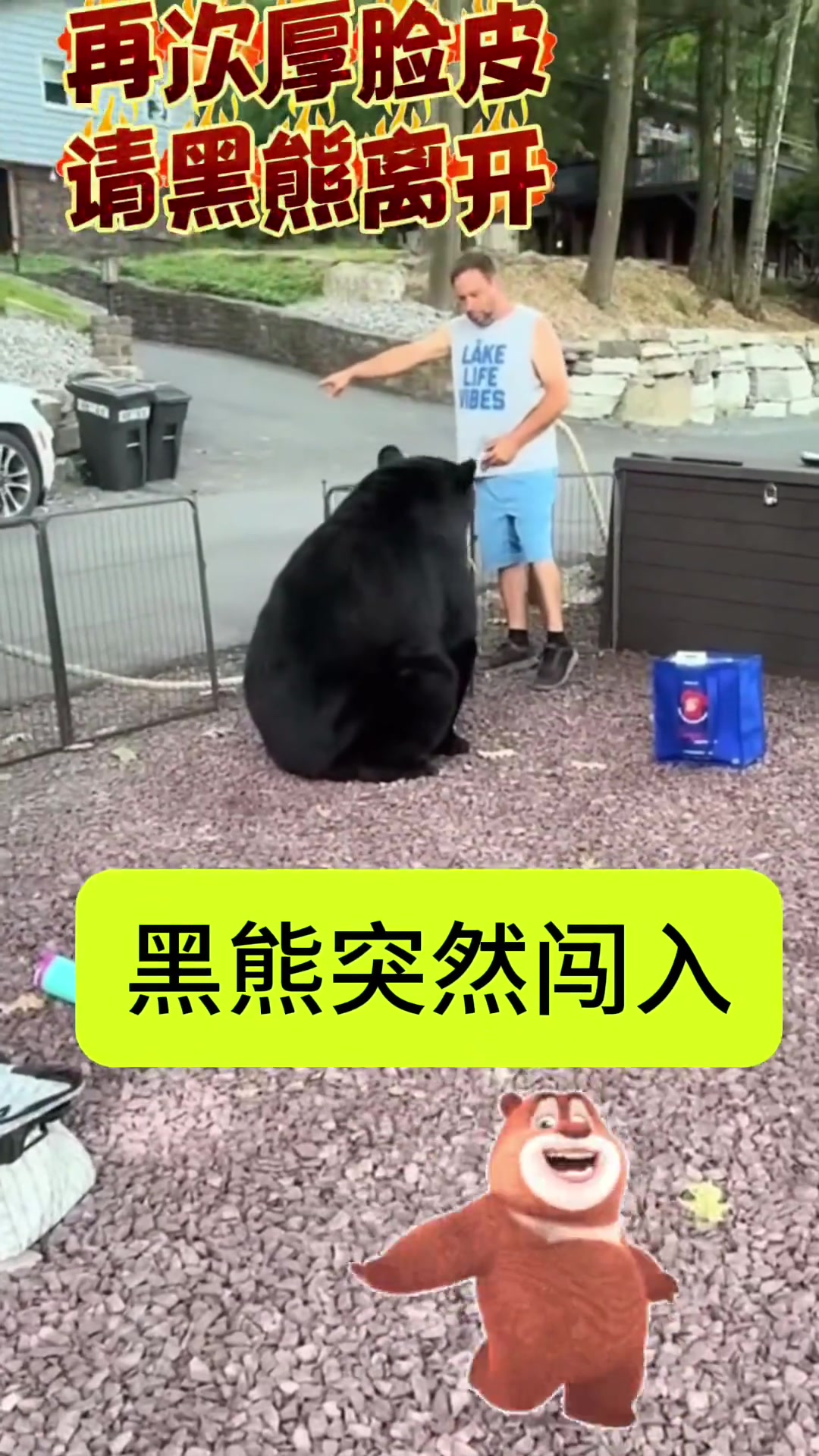 击股之交!黑熊走之前跟你还打了个招呼,拍了一下,以示友好!