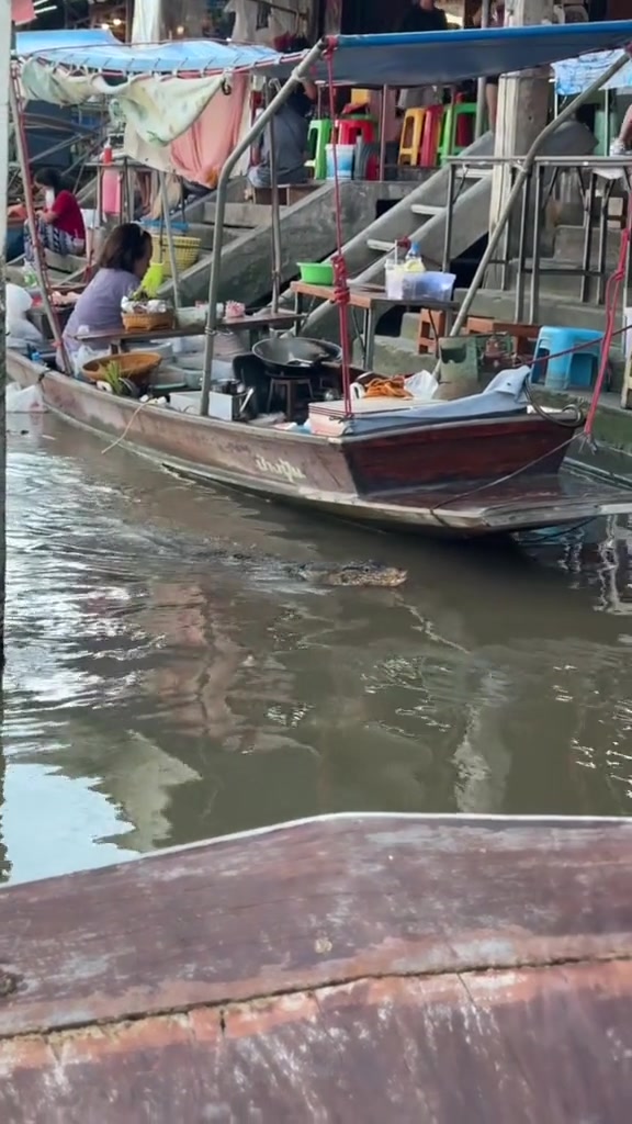 吓死!第一眼鳄鱼第二眼蜥蜴,最后才发现原来是这么大的蟒蛇!