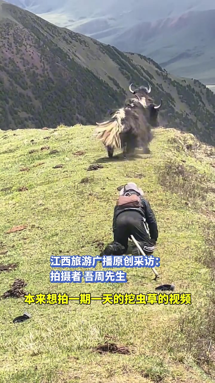 你有点不太清楚自己的实力!!!