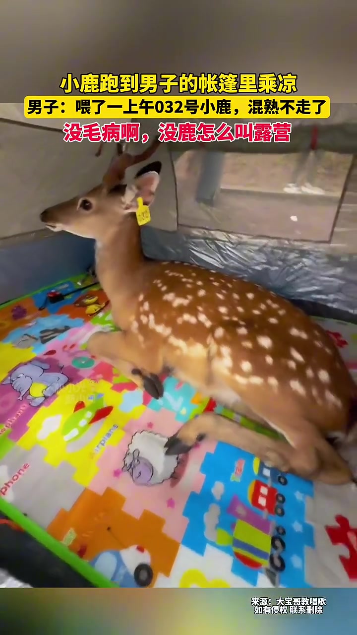 你这咋还赖上我了!!