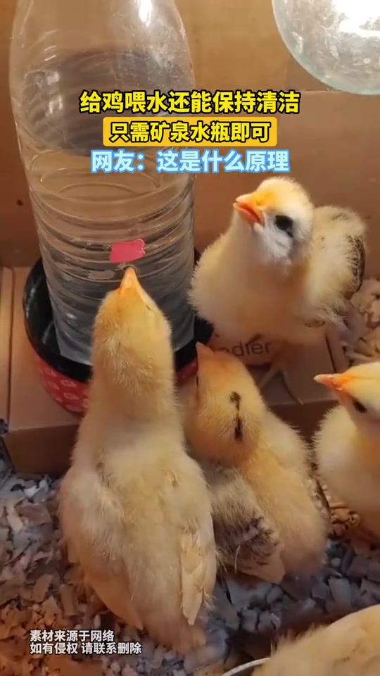 这水啥原理啊,怎么不往下掉呢!!