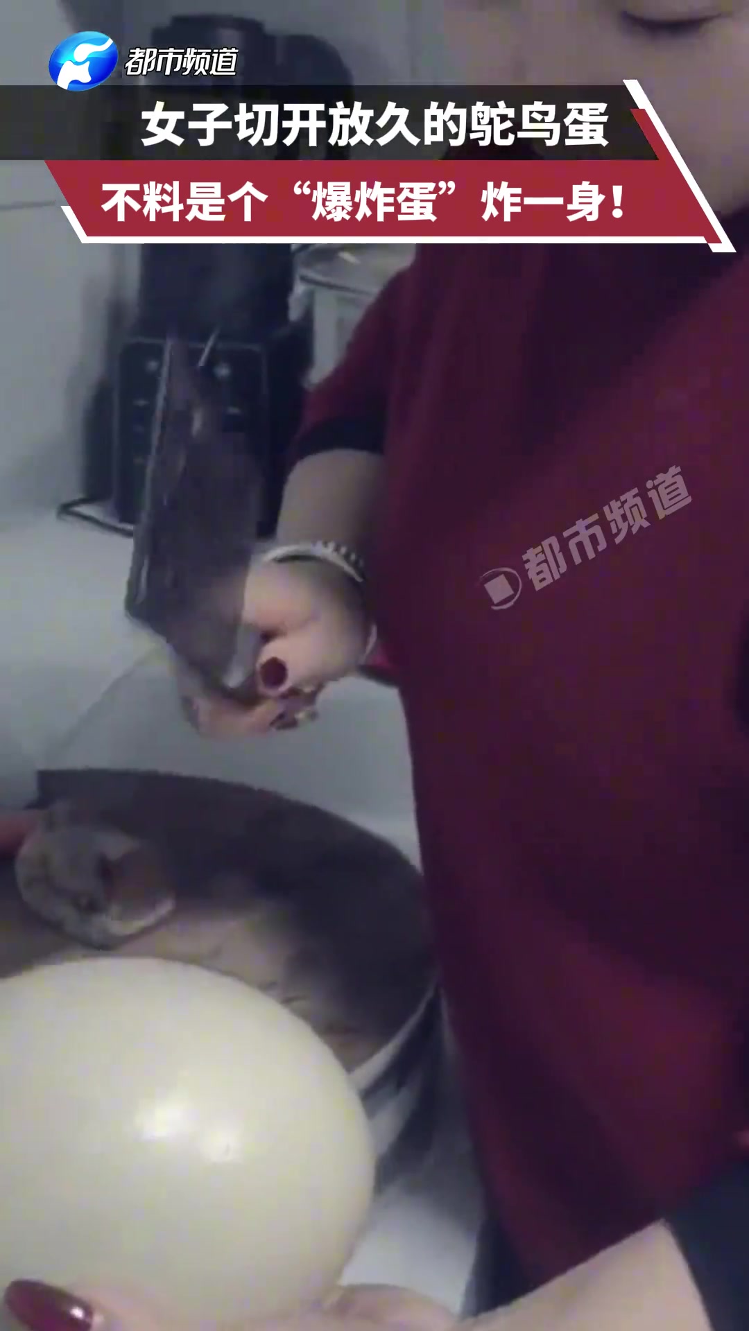 女子切开放久的鸵鸟蛋，不料是个“爆炸蛋”炸一身