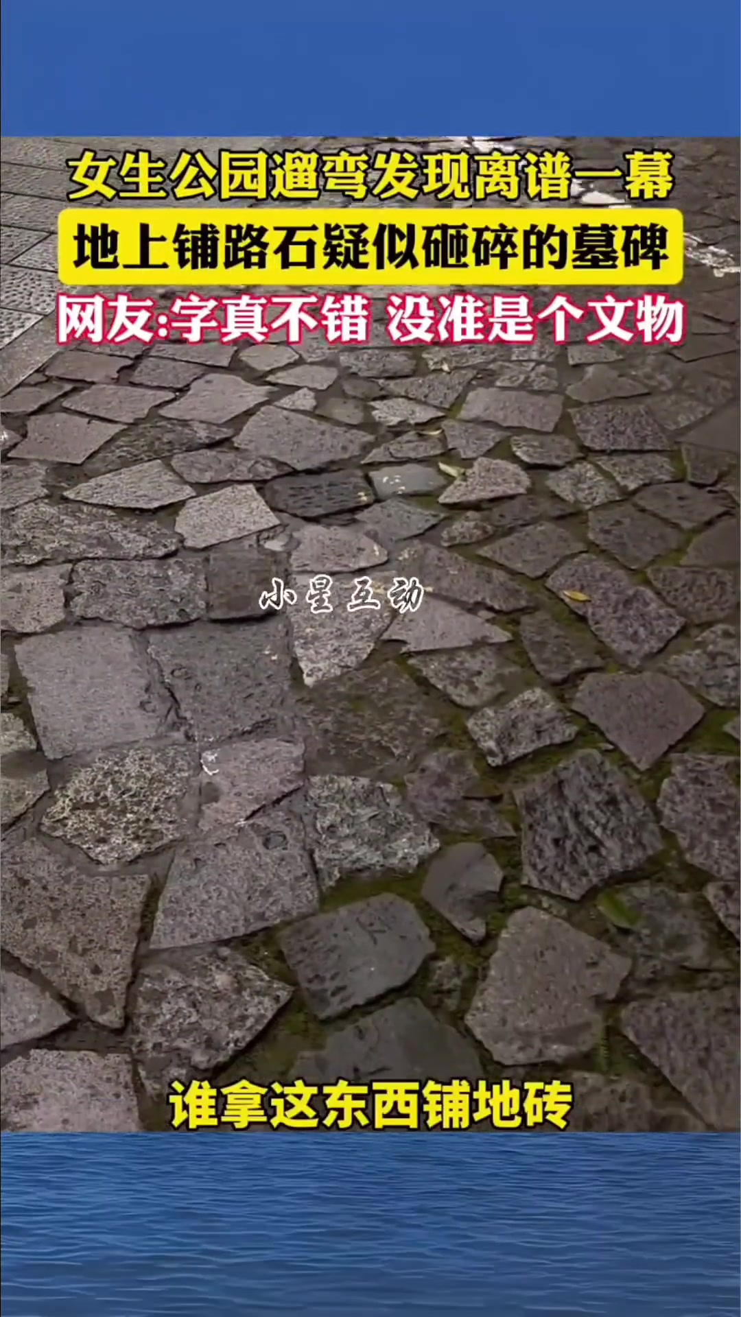 女子公园遛弯发现离谱一幕