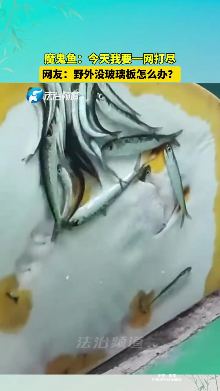 魔鬼鱼：今天我要一网打尽