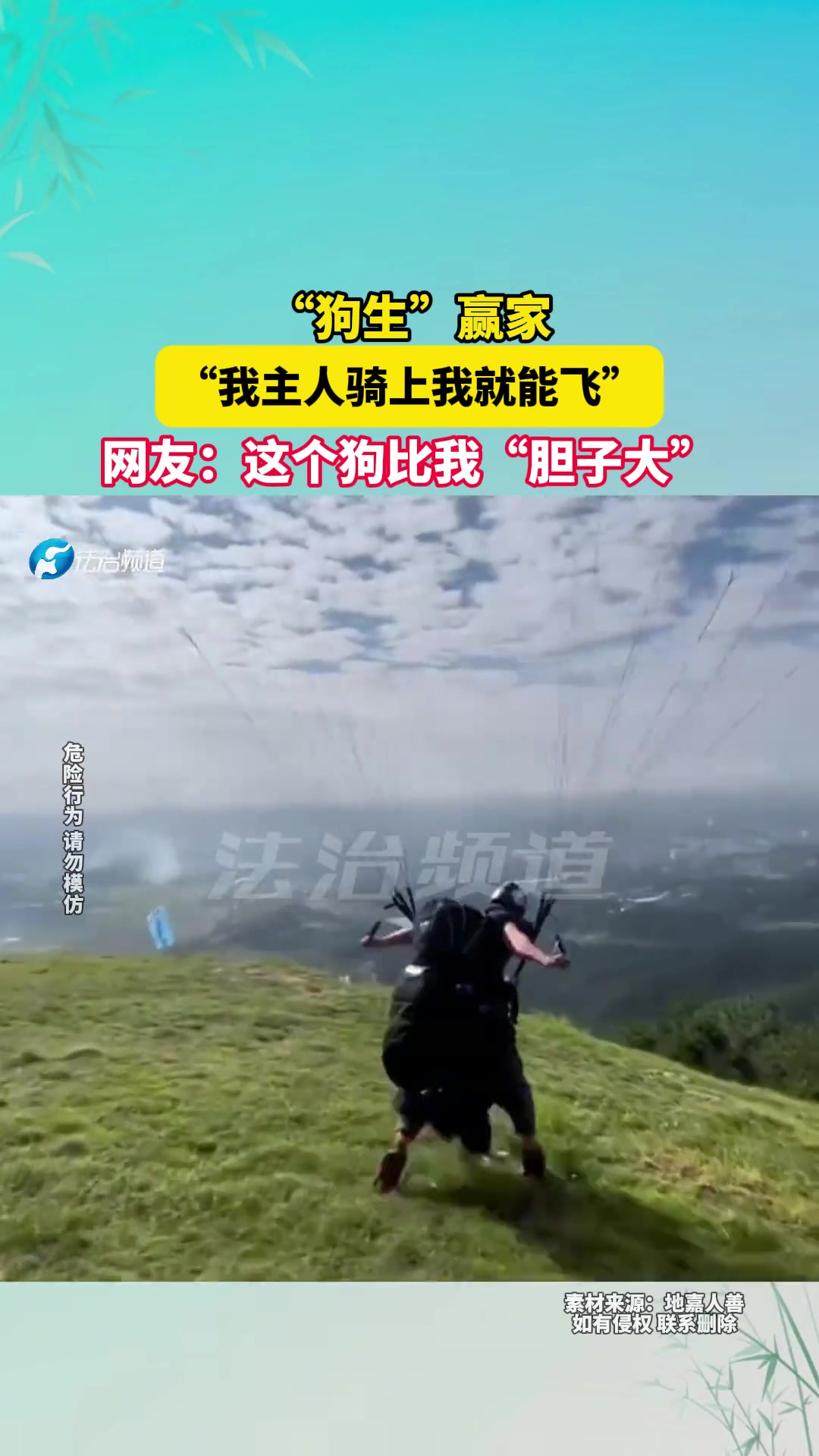 “狗生”赢家“我主人骑上我就能飞”