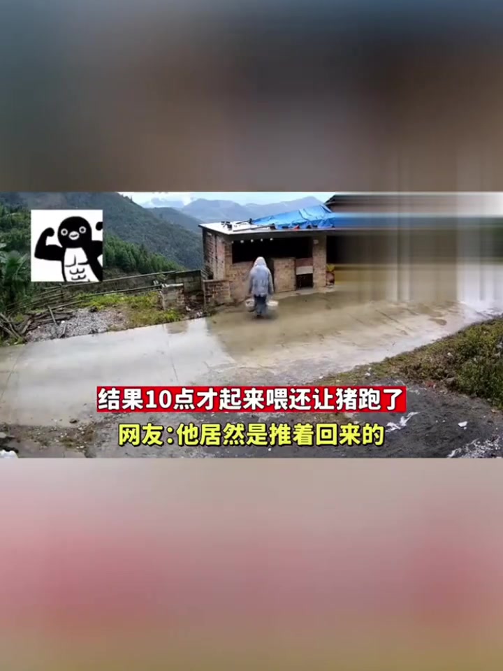 猪你不哄我，我可不吃，我走了