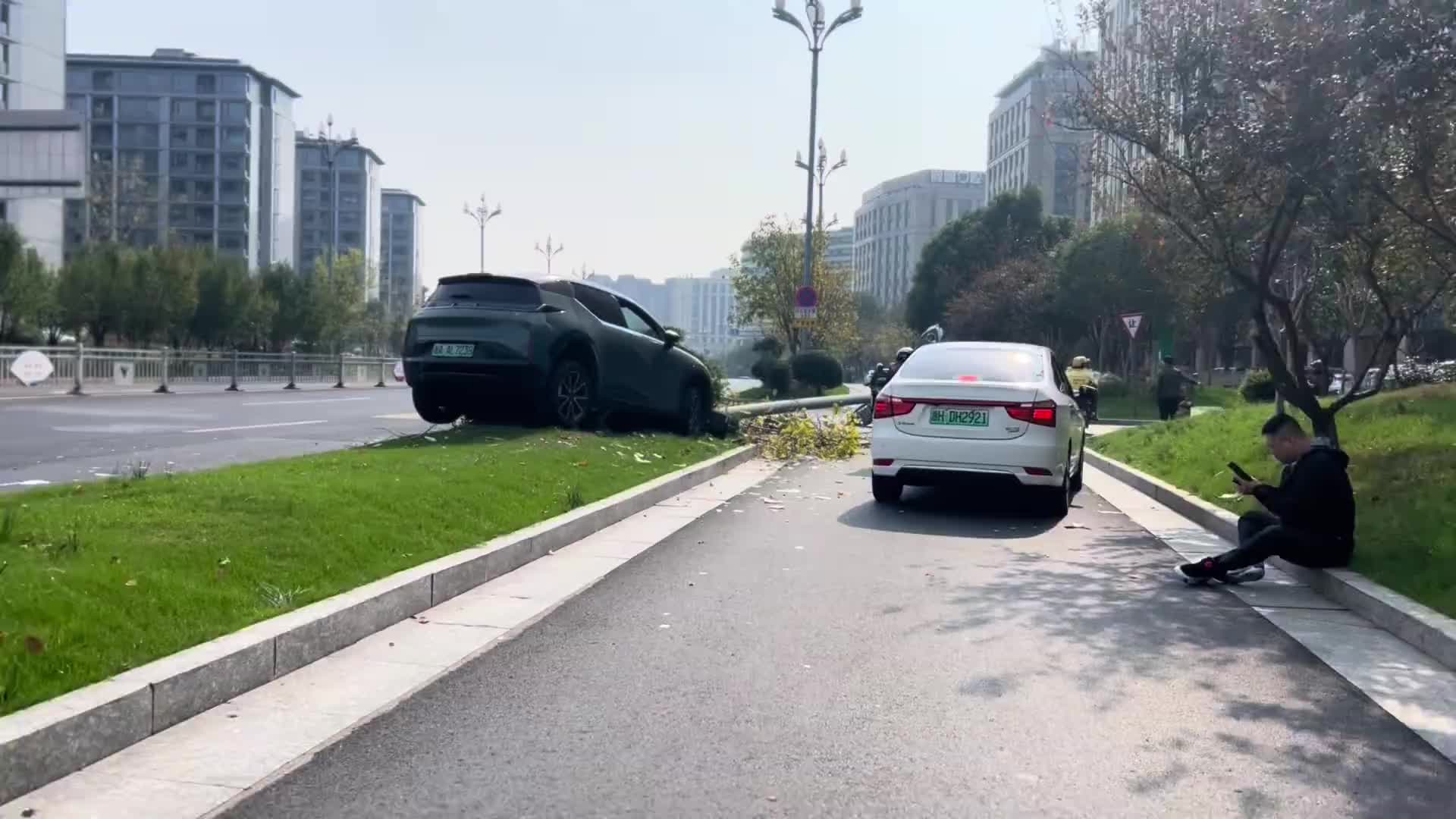 这得花不少钱吧路灯咱先不说，这颗树都得不少钱！
