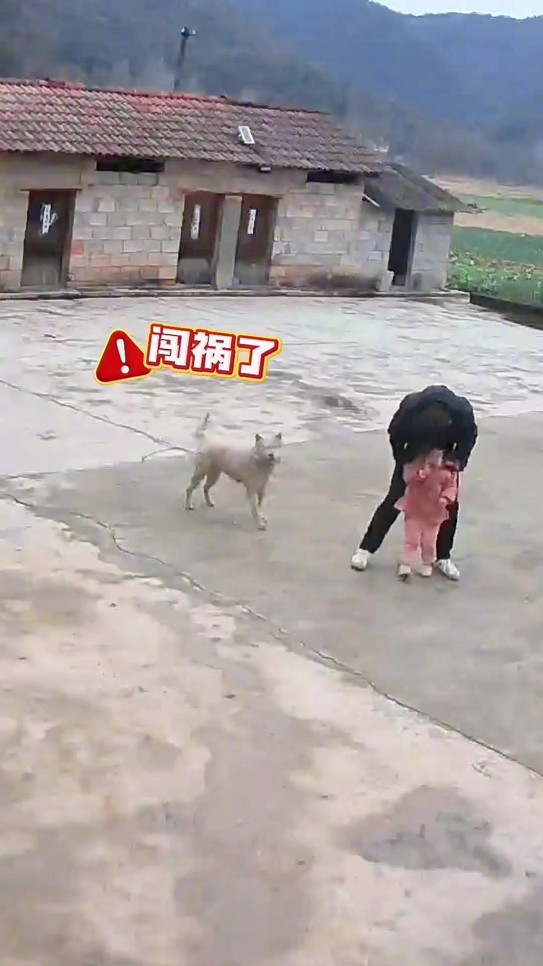 狗：能不能保住狗命就看我装的像不像吧！