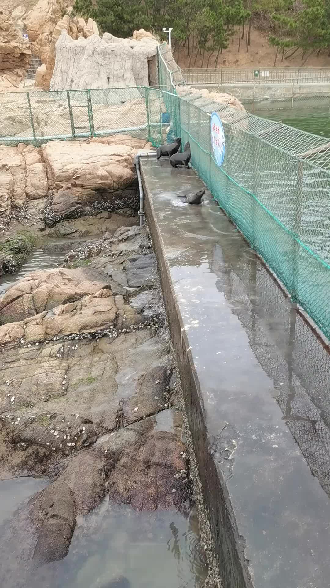 你说它也没有轱辘，怎么这么丝滑！