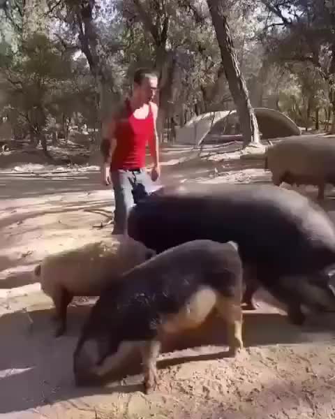 全时四驱还能原地掉头