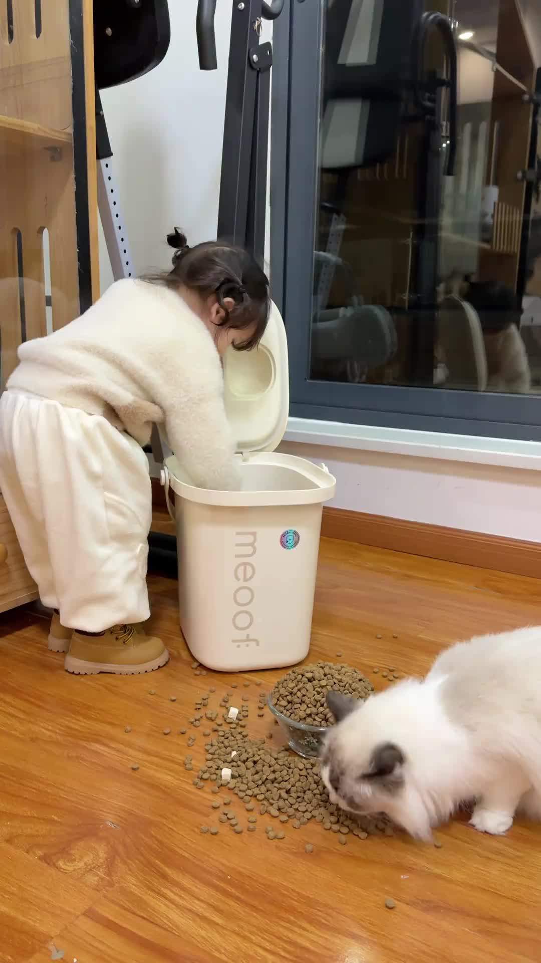 猫：怎么，这是最后一顿