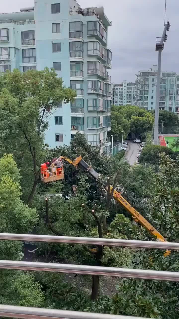 开吊车捅马蜂窝，专用的防护服也没穿啊