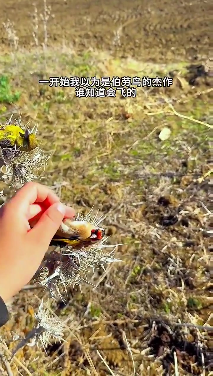 好好的沐光浴就被你给搅黄了