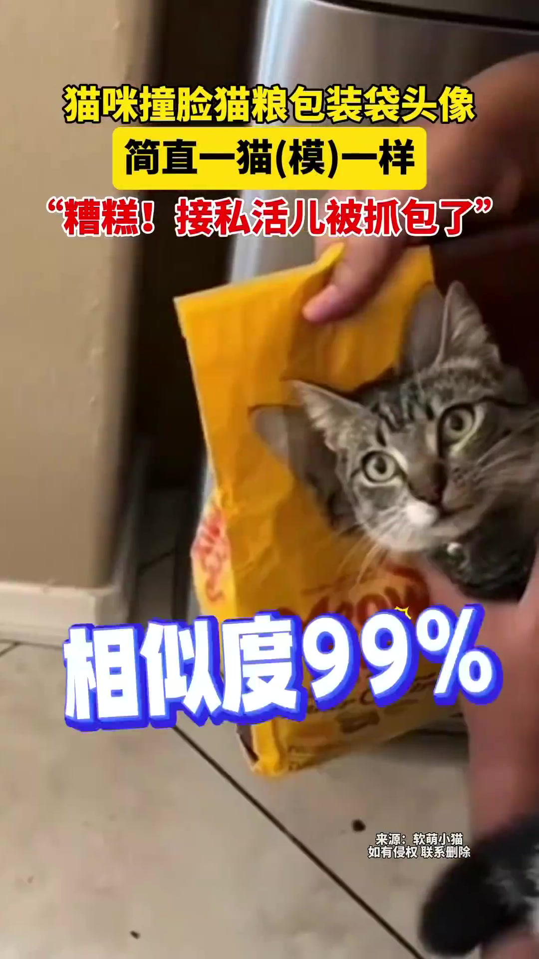 猫咪撞脸猫粮包装袋头像，简直一猫模一样！