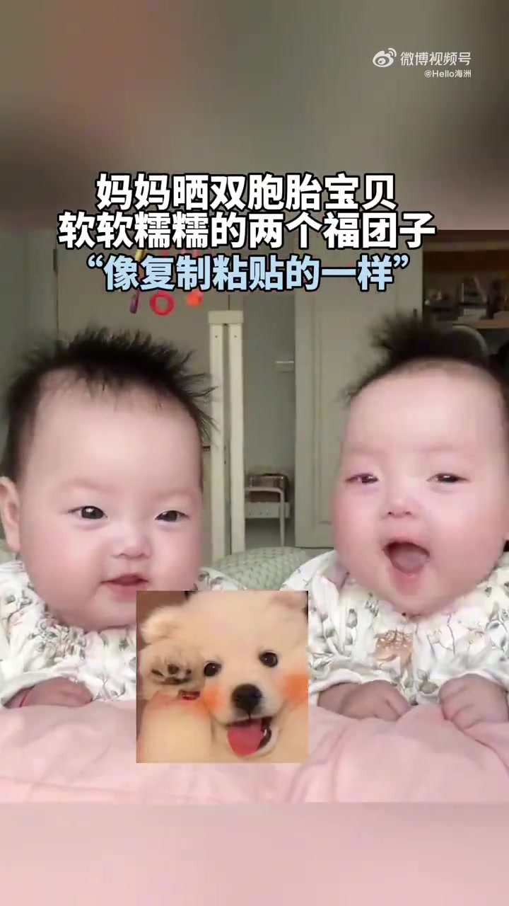 妈妈晒双胞胎宝贝，软软糯糯的两个福团子“像复制粘贴的一样”