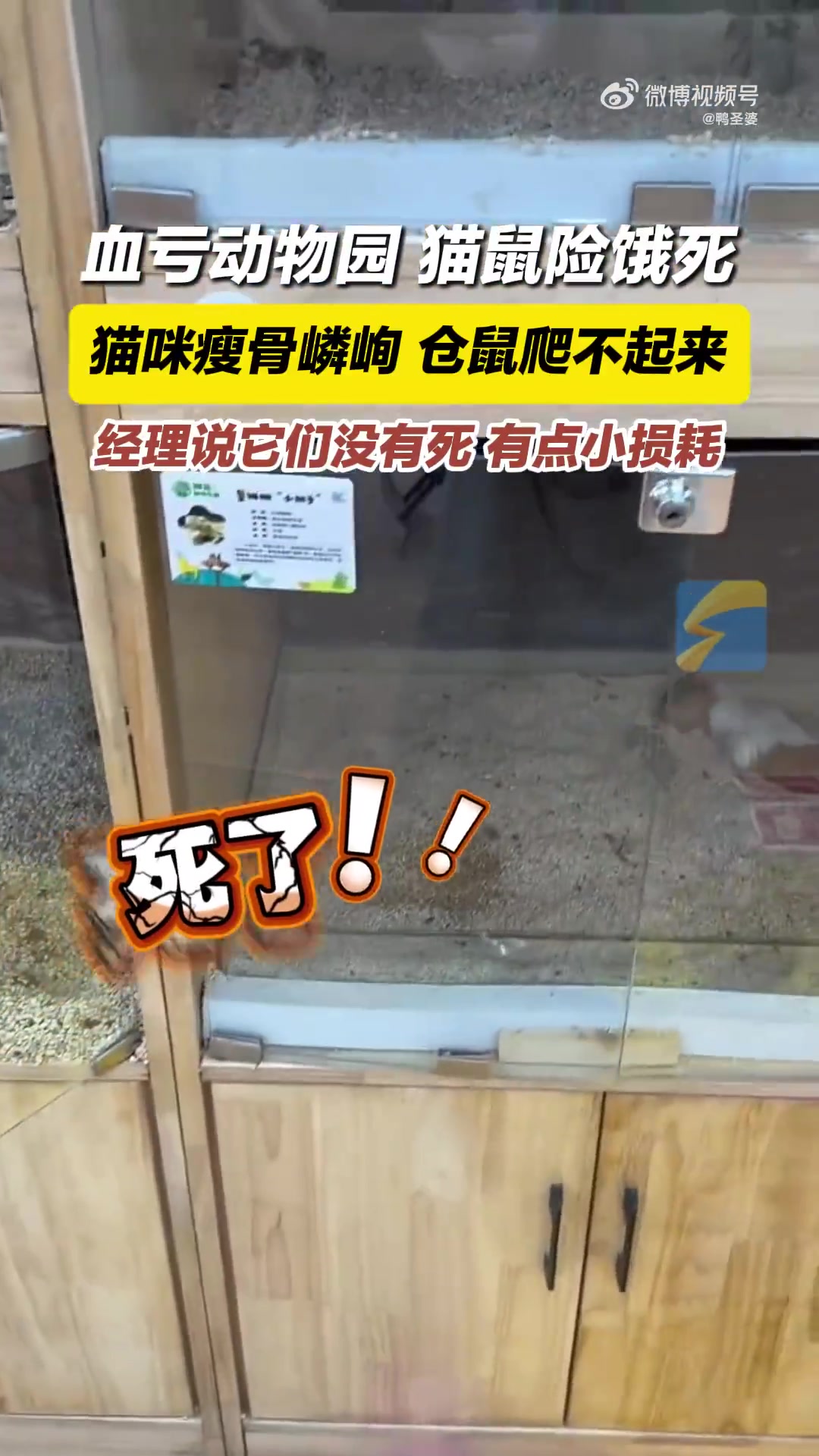 它们是生命又不是物品，怎么能用损耗来形容呢