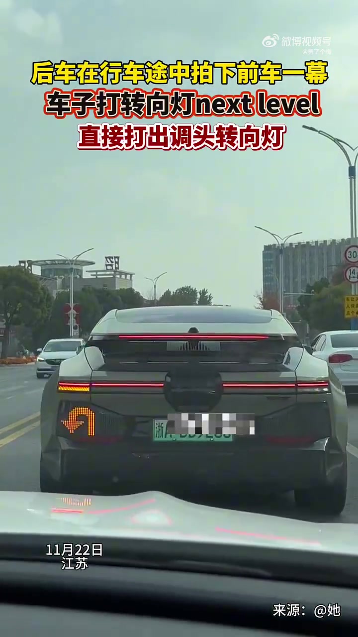 惊奇！第一次知道车子有调头转向灯！网友：这是什么神仙操作