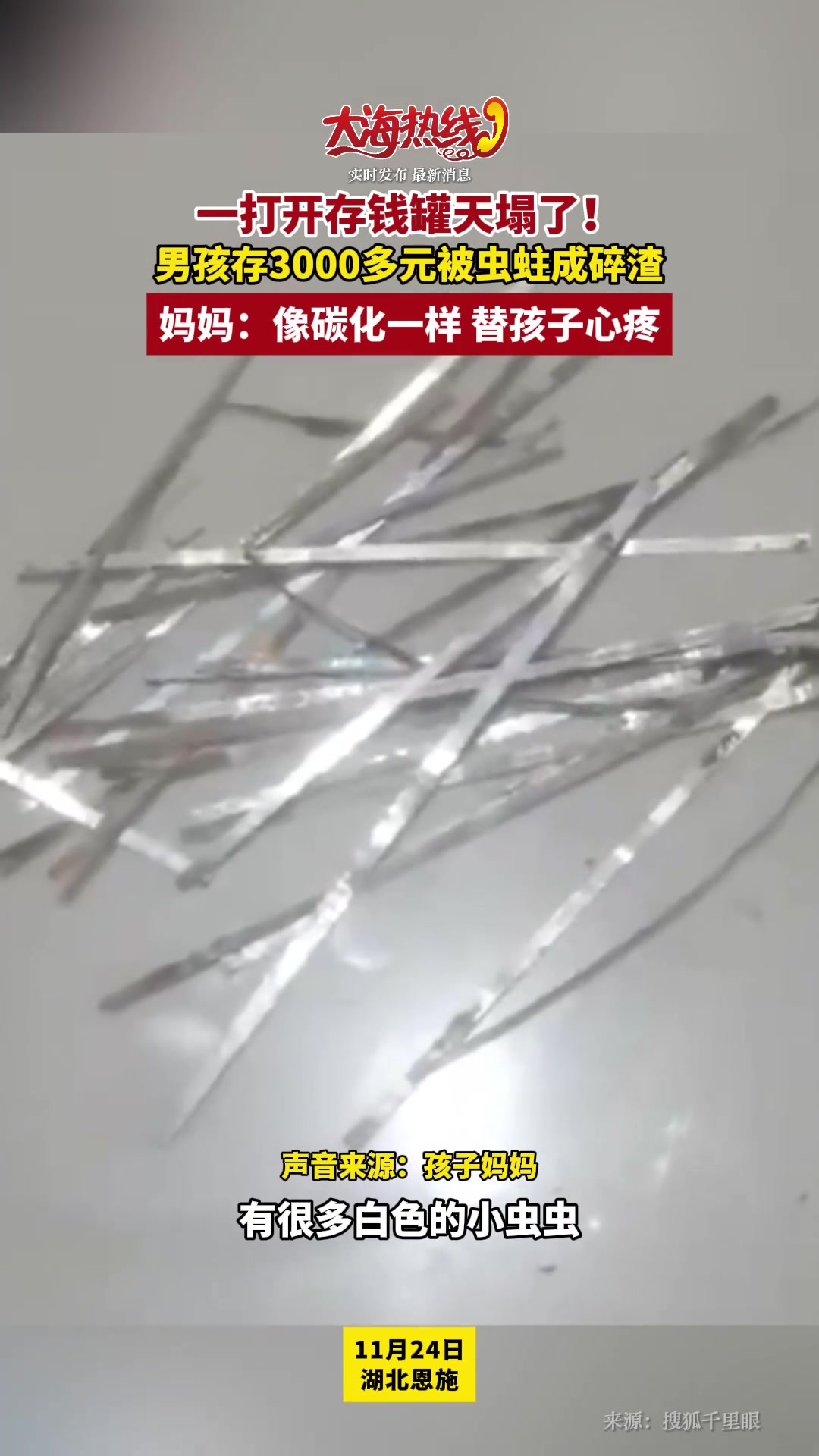 一打开存钱罐天塌了男孩存3000多元被虫蛀成碎渣