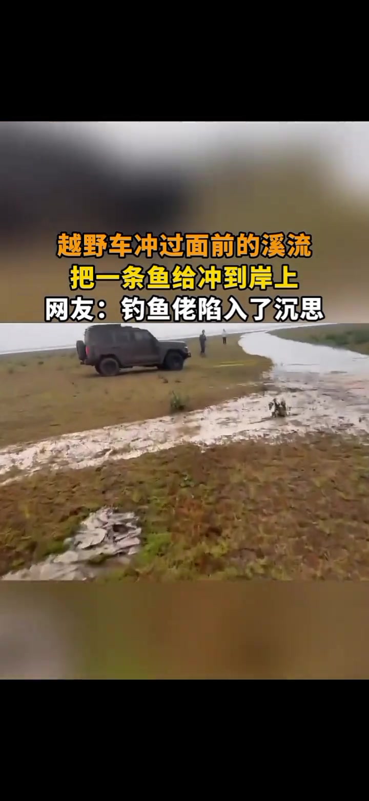 越野车冲过面前的溪流把一条鱼给冲到岸上